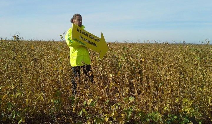 10373485_10152666019824194_2230960400320139102_n