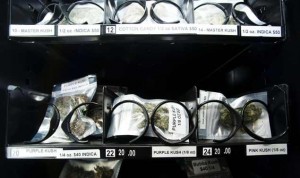 6733546-afp-mediafax-foto-don-mackinnon