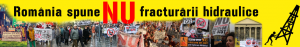 cropped-banner-site-nou11