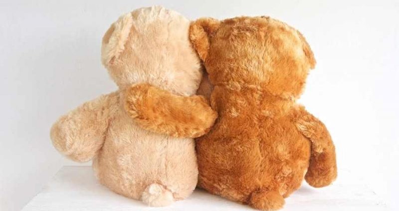 dreamstime_xl_32430490-900x480