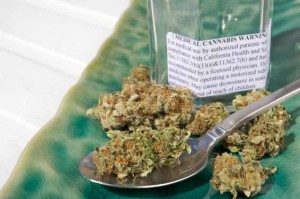 shutterstock-51518992