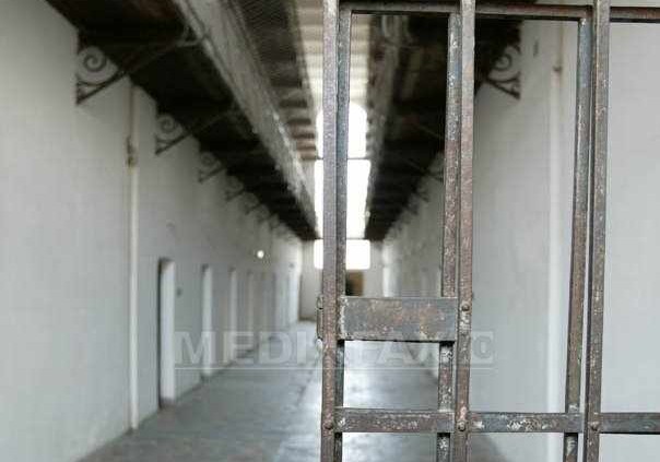 gratii-adrian-stoicoviciu