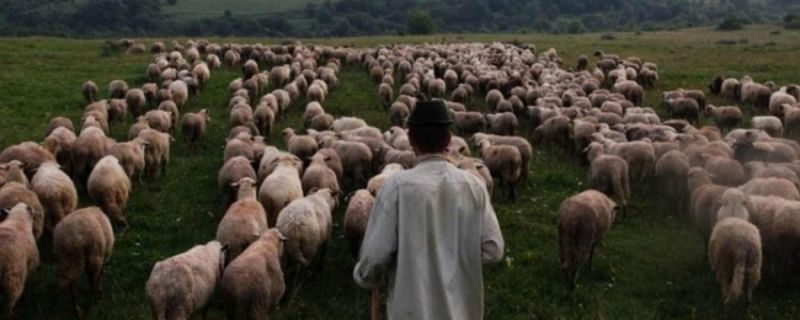 image-2013-05-8-14765596-70-transhumanta