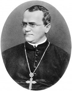 Gregor Johann Mendel (n. 22 iulie 1822 - d.06.01.1884) genetician, calugar si botanist austriac. A descoperit legile eredităţii în 1865 - foto - en.wikipedia.org