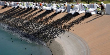 California: 96 de milioane de mingi de plastic au fost aruncate într-un rezervor cu apă pentru a evita evaporarea acesteia - foto - b1.ro