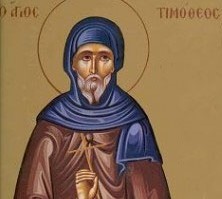 Sfântul Cuvios Timotei (†795) - foto preluat de pe doxologia.ro