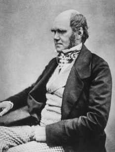 Charles Darwin (n. 12 februarie 1809, Shrewsbury, Shropshire - d. 19 aprilie 1882, Down, lângă Beckenham, Kent) este cel mai celebru naturalist britanic, geolog, biolog și autor de cărți, fondatorul teoriei referitoare la evoluția speciilor (teoria evoluționistă) - foto preluat de pe ro.wikipedia.org
