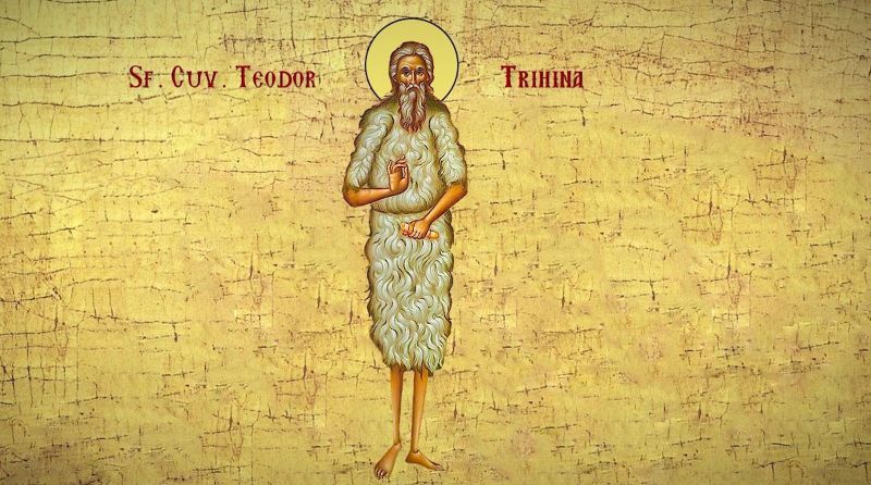 Sf. Cuv. Teodor Trihina (Secolele IV - V) - foto preluat de pe doxologia.ro