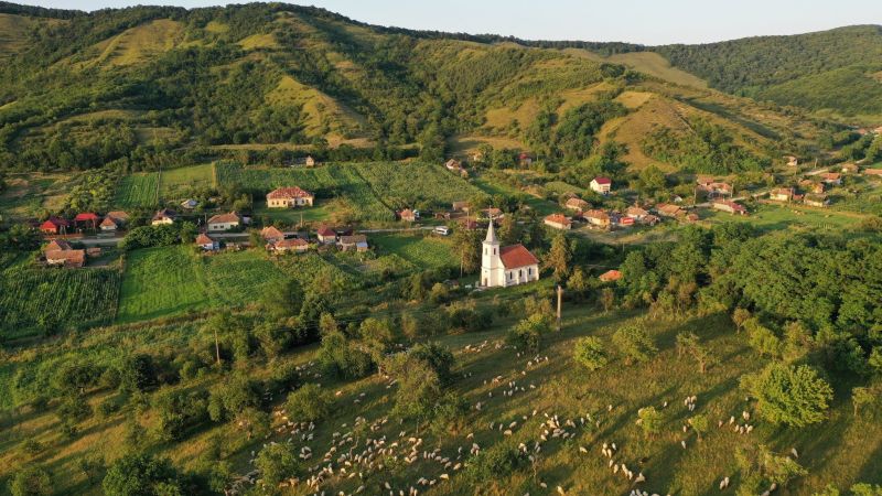 foto preluat de pe basilica.ro